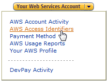 AWS Access Identifiers