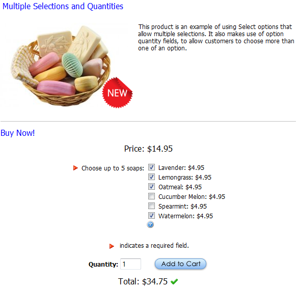 option multiple selection